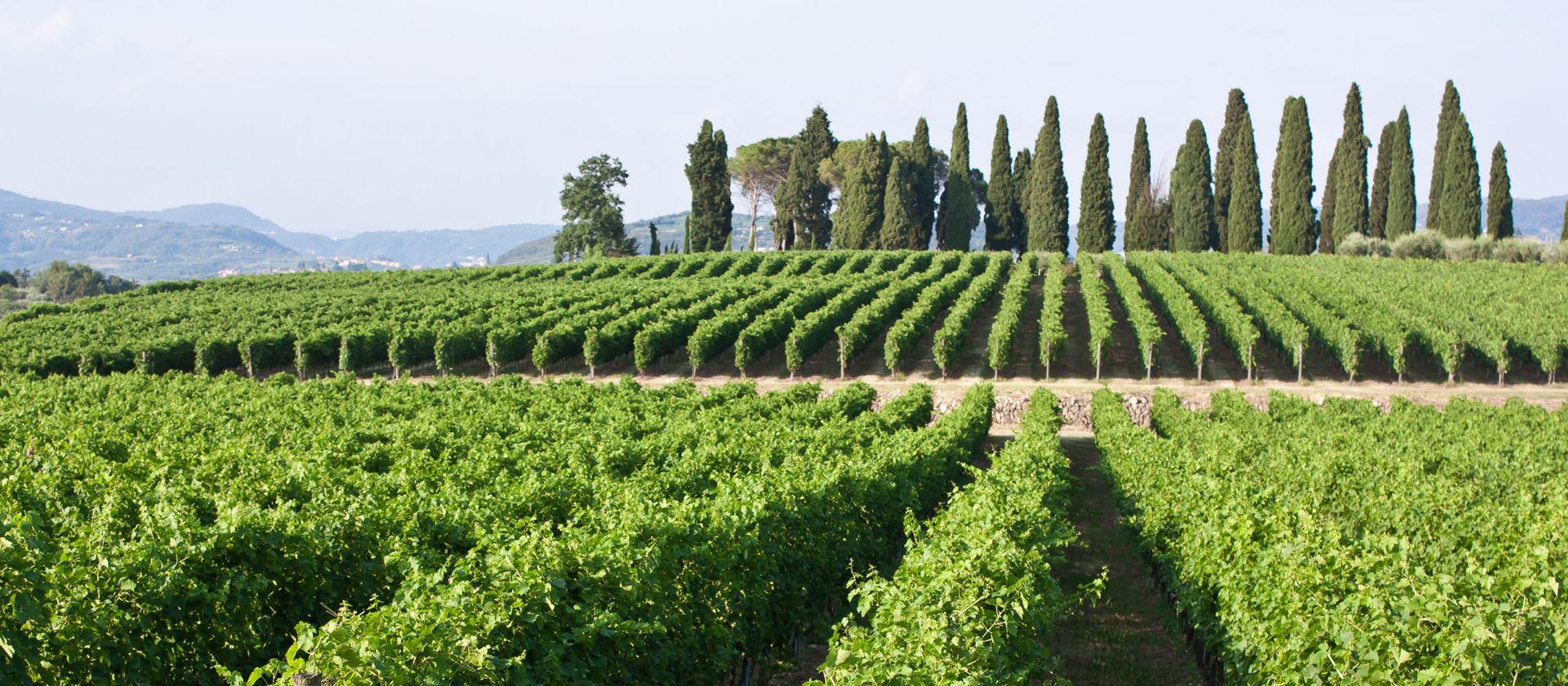 Galleggiante ad olio contro galleggiante ad aria, per vino, differenze!